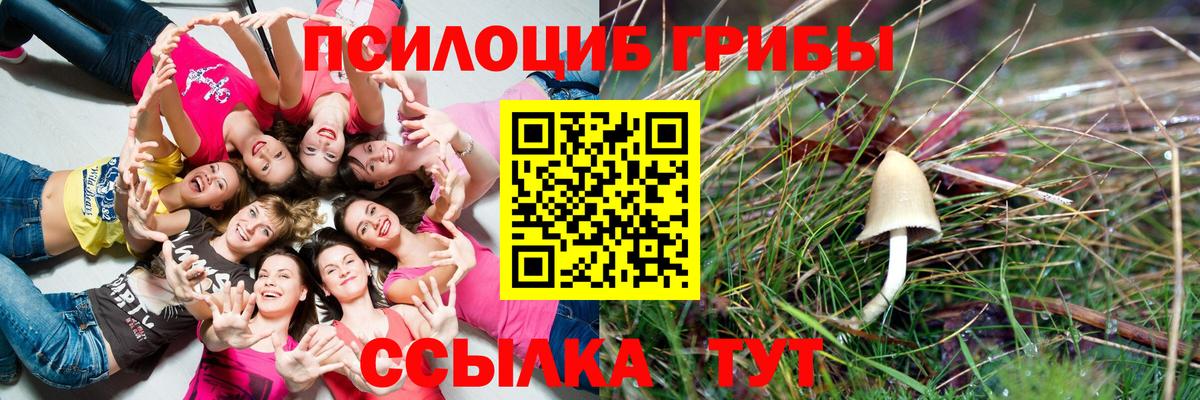 Набережные Челны  Галлюциногенные грибы Magic Shrooms  Вход с VPN 